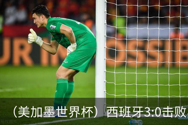 （美加墨世界杯）西班牙3:0击败奥地利 本届世界杯保持零失球